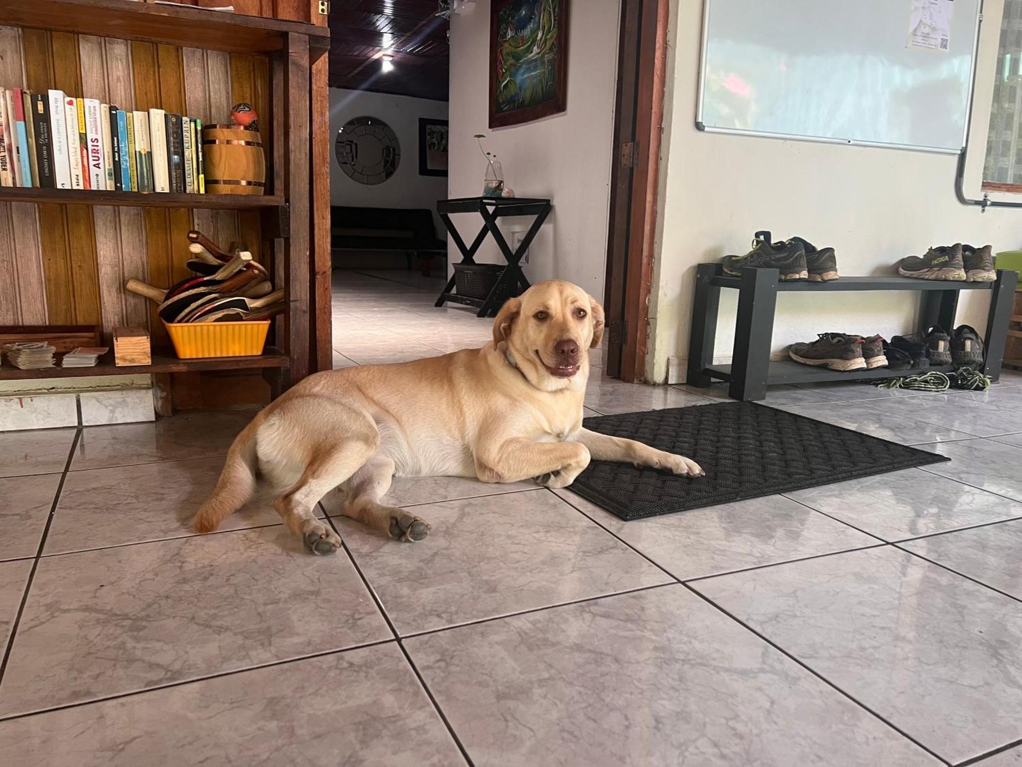 Rio Danta Hostel La Fortuna Kültér fotó